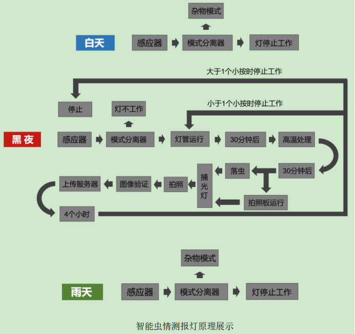 蟲情測報儀